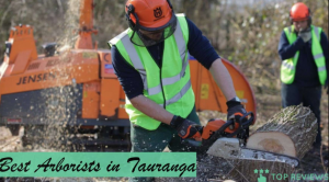 professional arborist in Tauranga
