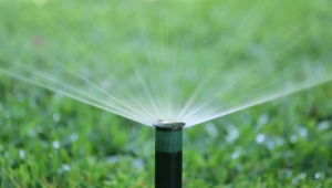 automatic water sprinkler