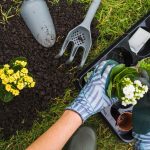landscape services
