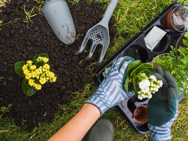 landscape services