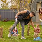 professional garden clean-ups