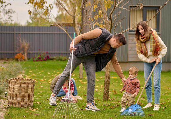 professional garden clean-ups